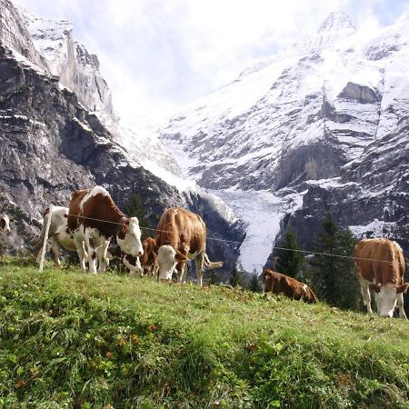 Firstsunne Lejlighed Grindelwald Eksteriør billede